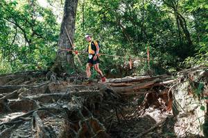 BIB: 
                            <button type="button" onclick="openModal(27800055)" class="btn btn-primary btn-sm float-right btn-popup" data-toggle="modal" data-target=".modal-high-quality">
                        <i class="fas fa-shopping-cart"></i> Add to Cart
                    </button>
                                            <button type="button" onclick="isThisMe(27800055, true)" class="btn btn-success btn-sm float-right btn-popup btn-isme hidden" data-toggle="tooltip" data-placement="bottom" title="นี่คือรูปของคุณใช่ไหม คลิกที่นี่เพื่อเอาเข้าอัลบั้ม">
                        <i class="fas fa-plus"></i> Add to album
                    </button>
                    <button type="button" onclick="isThisMe(27800055, false)" class="btn btn-warning btn-sm float-right btn-popup btn-isnotme hidden">
                        <i class="fas fa-ban"></i> Remove from album
                    </button>